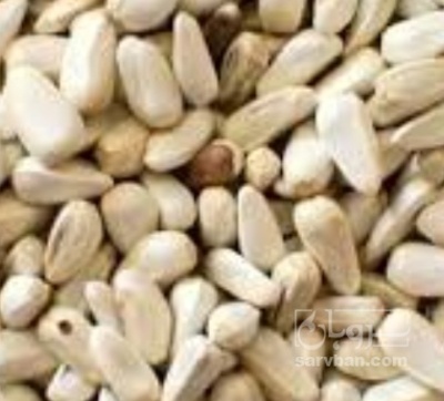 فروش تخم  گلرنگ ( ادویه جات )