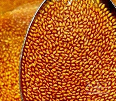 فروش خاکشیر (گیاه‌ دارویی)