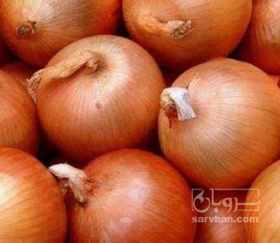 فروش پیاز زرد