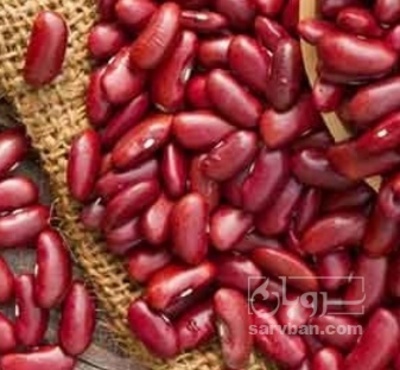 فروش لوبیا قرمز