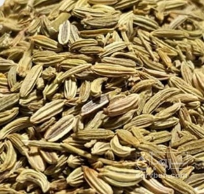 فروش رازیانه (گیاه‌ دارویی)