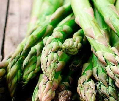 فروش مارچوبه