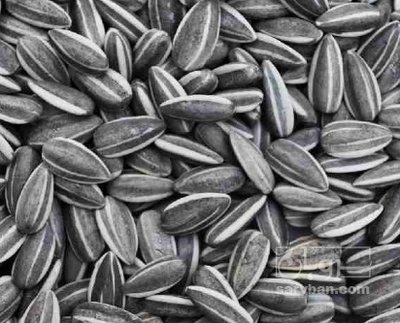 فروش تخمه خوی