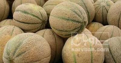 فروش طالبی