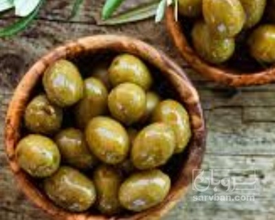 فروش زیتون