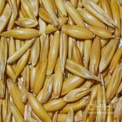 فروش جو