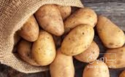 فروش سیب زمینی