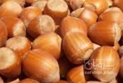 فروش فندق