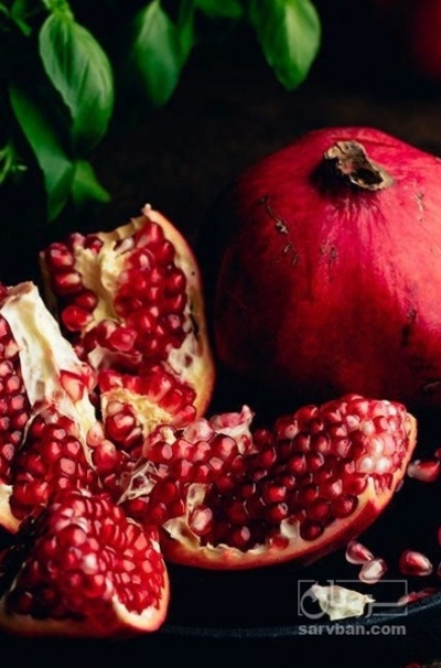 فروش انار