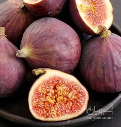فروش انجیر