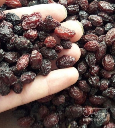 فروش زغال اخته خشک