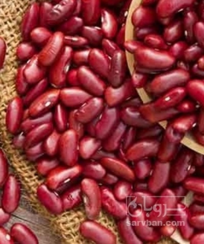 فروش لوبیا قرمز