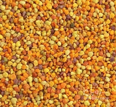 فروش گرده گل