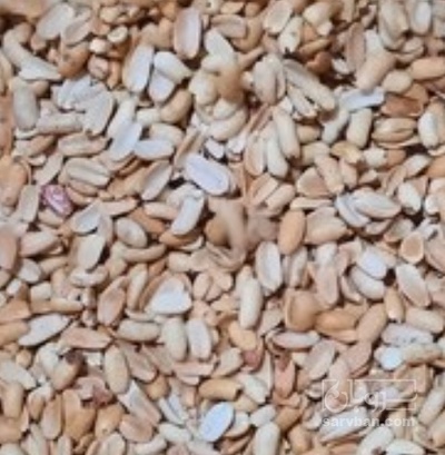 فروش بادام زمینی لپه