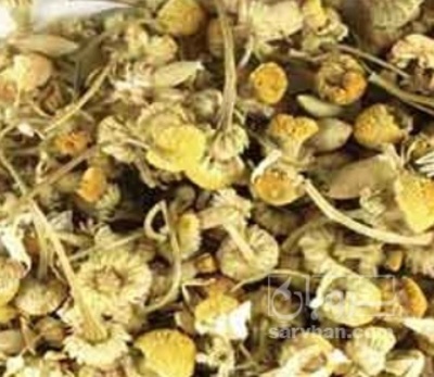 فروش بابونه (گیاه‌ دارویی) | سروبان