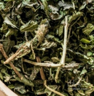 فروش گزنه (گیاه‌ دارویی)