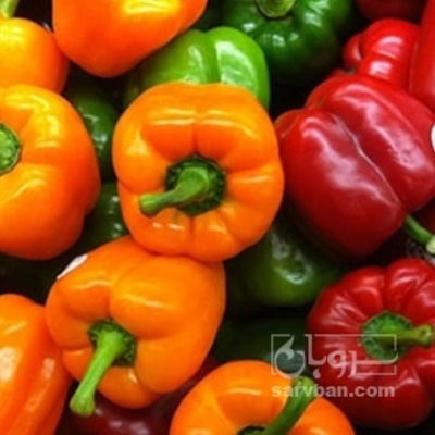 فروش فلفل دلمه ای زرد قرمز