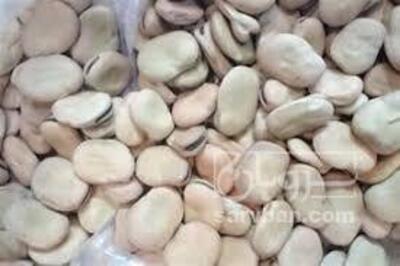 فروش باقلا خشک