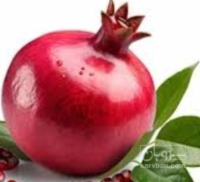 فروش انار