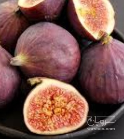 فروش انجیر