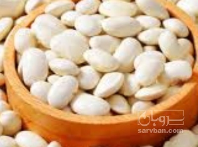 فروش لوبیا سفید