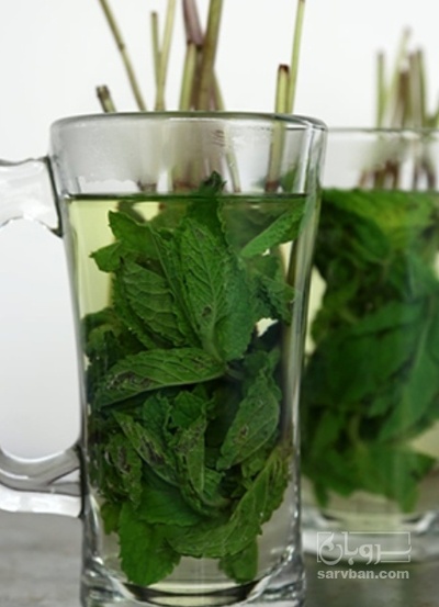 فروش عرق نعناع