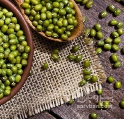 فروش ماش لپه