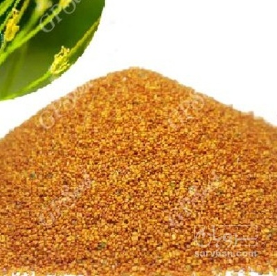 فروش خاکشیر (گیاه‌ دارویی)