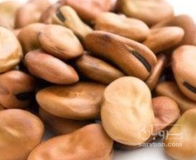 فروش باقلا خشک