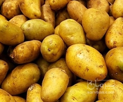 فروش سیب زمینی