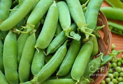 فروش نخود فرنگی