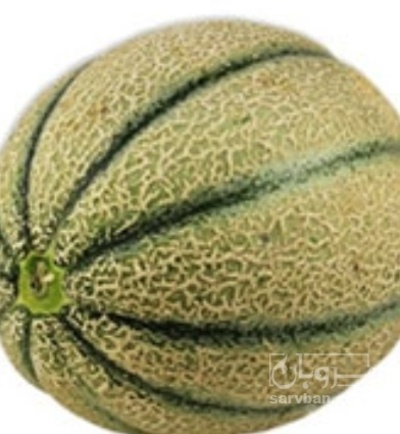 فروش طالبی
