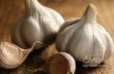 فروش سیر