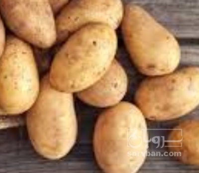 فروش سیب زمینی