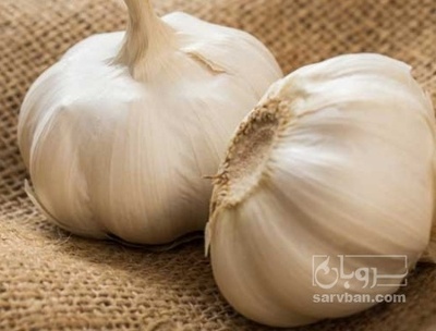 فروش سیر