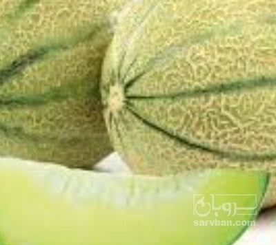 فروش طالبی