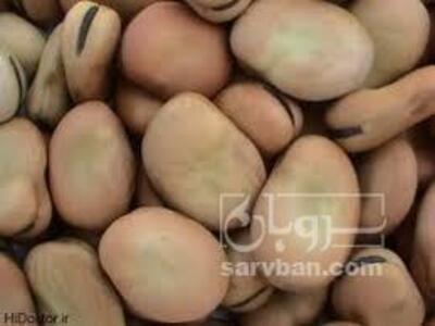 فروش باقلا خشک