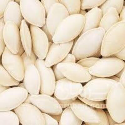 فروش تخمه کدو