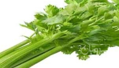 فروش کرفس