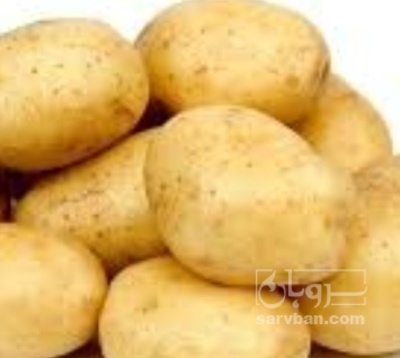فروش سیب زمینی
