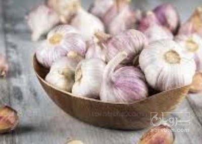 فروش سیر