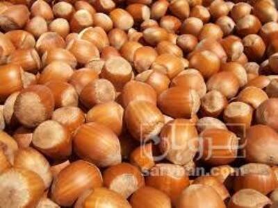 فروش فندق