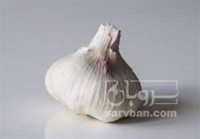 فروش سیرخشک