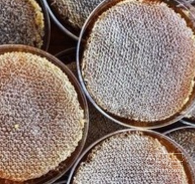 فروش عسل طبیعی