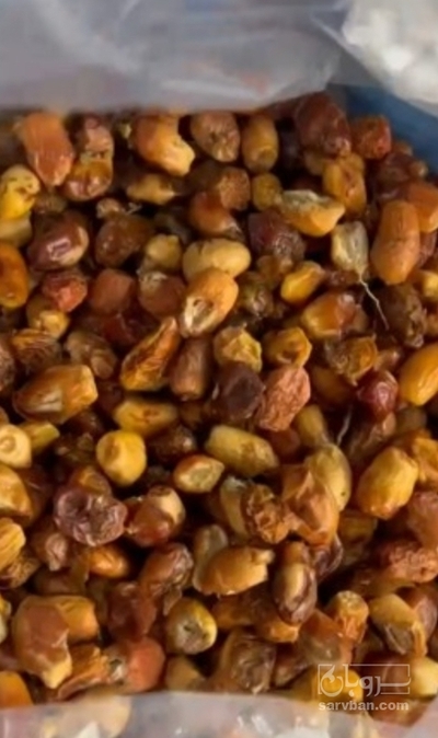 فروش خرما ضایعات