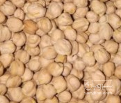 فروش نخود سایز ۱۰