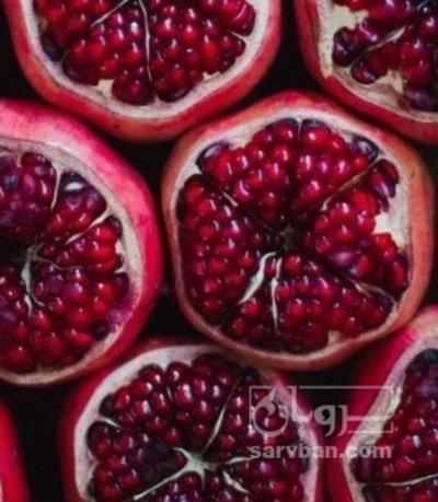 فروش انار