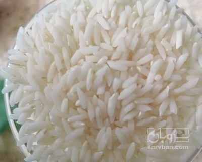 فروش برنج هاشمی