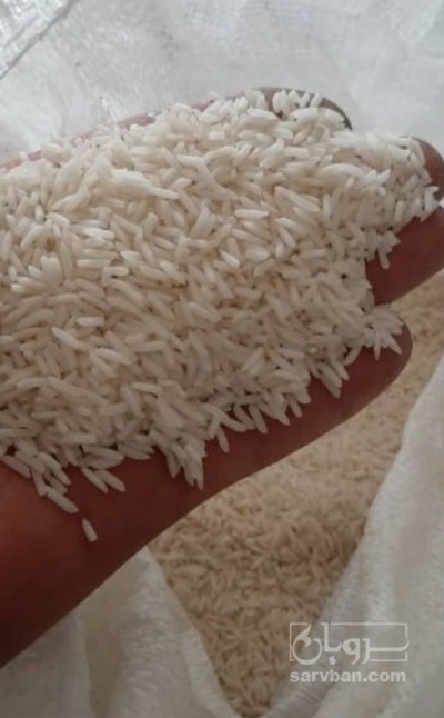 فروش برنج علی کاظمی