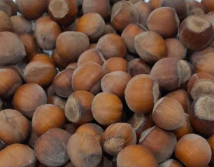 فروش فندق